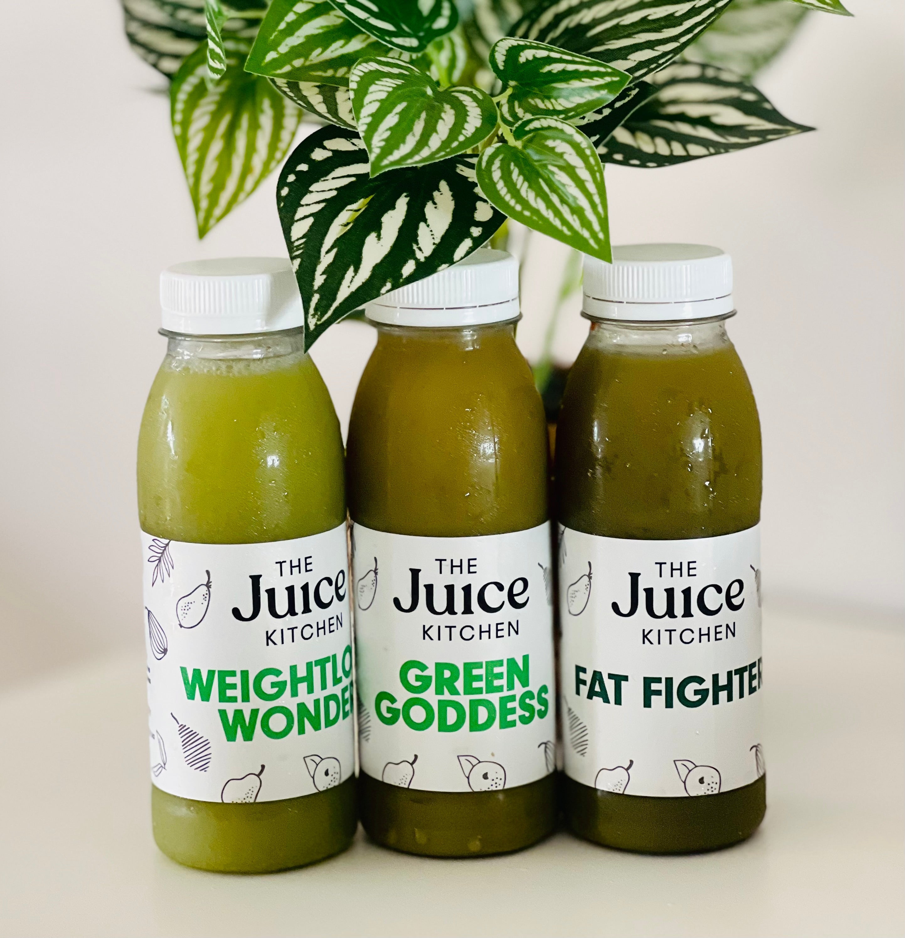 Celery juice box